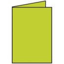 Coloretti Doppelkarte - B6 hoch, 5 Stück, hellgrün