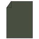 Coloretti Briefbogen - A4, 165g, 10 Blatt, forest