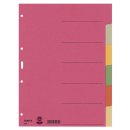 4358 Register - Karton, blanko, A4, 6 Blatt, farbig