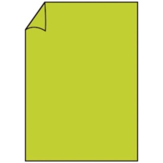 Coloretti Briefbogen - A4, 165g, 10 Blatt, hellgrün
