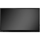 Display Touch Evolve 55" schwarz