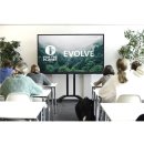 Display Touch Evolve 55" schwarz