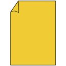 Coloretti Briefbogen - A4, 165g, 10 Blatt, goldgelb