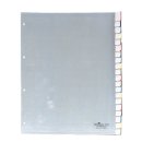 Durable Register - Hartfolie, blanko, transparent, A4 Überbreite, 20 Blatt