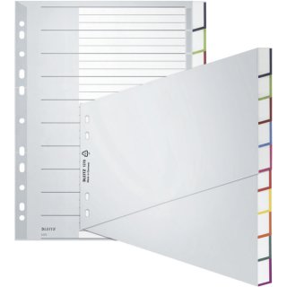 Leitz Plastikregister Blanko, A4, schräg, PP, 10 Blatt, grau