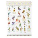 Goldbuch Notizbuch Owls - A5, 200 Seiten