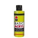 Basic Acryl, Pistazie 264, 80 ml
