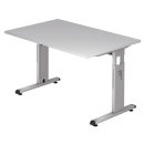Schreibtisch C-Fuß - 120 x 65-85 x 80 cm, höhenverstellbar, Grau/Silber