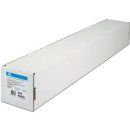 HP PROFESSIONAL PHOTOPAPER 24´ 300GR. Rolle A1...