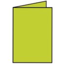 Coloretti Doppelkarte - A6 hoch, 5 Stück, hellgrün